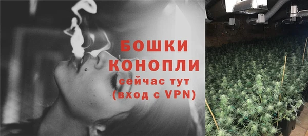 соль курить ск Новозыбков