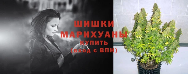 соль курить ск Новозыбков