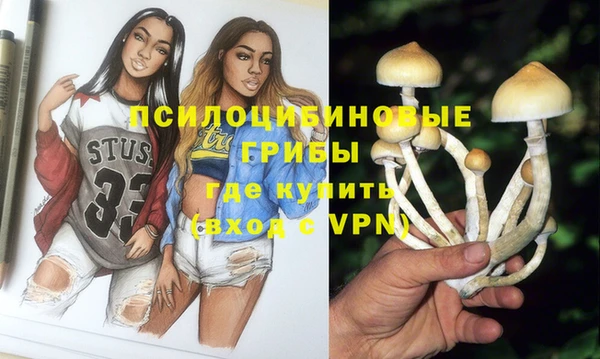 соль курить ск Новозыбков
