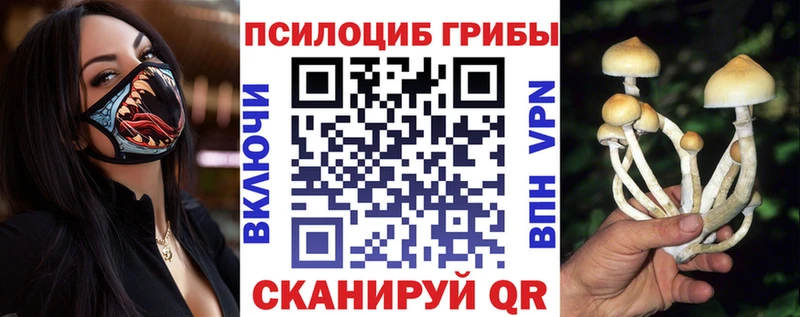 Псилоцибиновые грибы Cubensis Крымск
