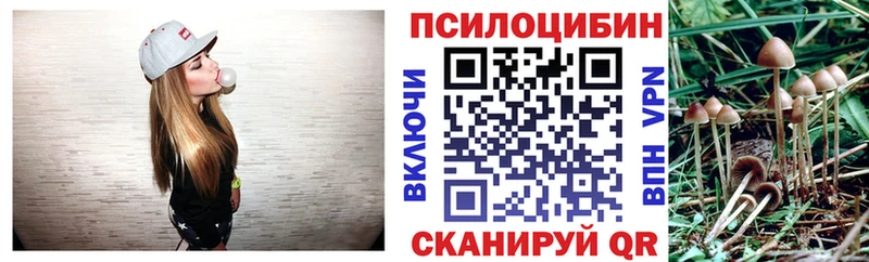Галлюциногенные грибы Psilocybine cubensis  цена наркотик  Крымск 