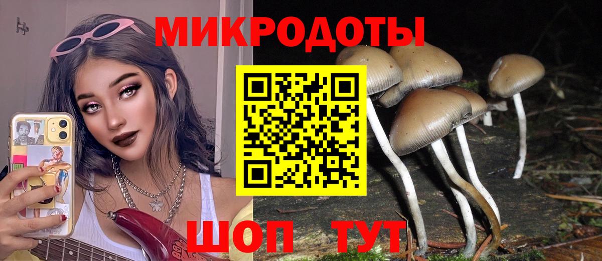 Галлюциногенные грибы Magic Shrooms Крымск