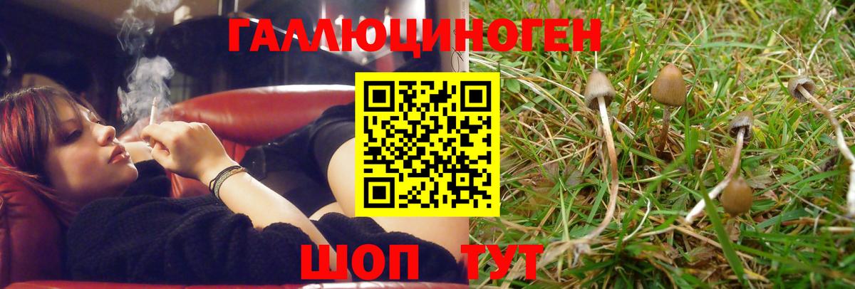 Псилоцибиновые грибы мухоморы  Вход с VPN  Крымск 